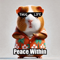 Wisdom Serenity GIF by Guinea Gambino