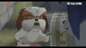 The Underdog GIF