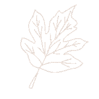 Maple Leafs Halloween Sticker