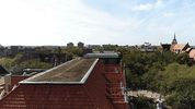 GIF by University of Florida