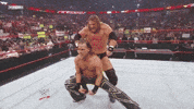 Triple H Wrestling GIF by WWE
