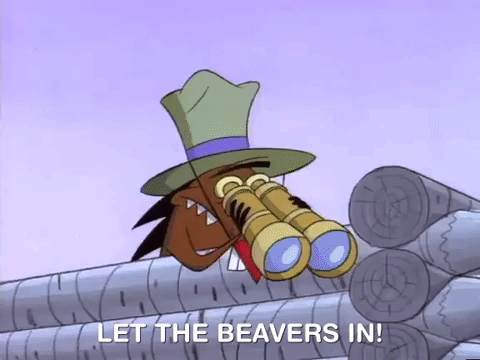 angry beavers nicksplat GIF