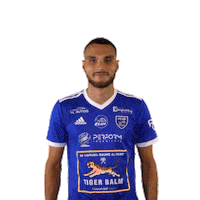 Football Soccer Sticker by FCVB