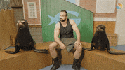 Shark Week GIF by discovery+