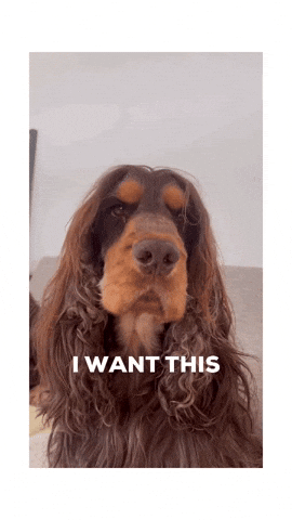 I Want This GIF