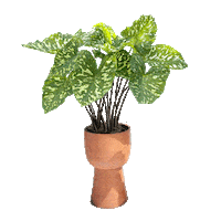 summer pot Sticker by Andrewknives