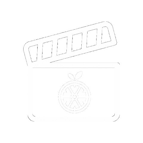 orangevideoco giphygifmaker ov slate orange video Sticker
