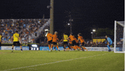 Black And Yellow Soccer GIF by Charleston Battery