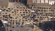 dogs michigan GIF by NowThis 
