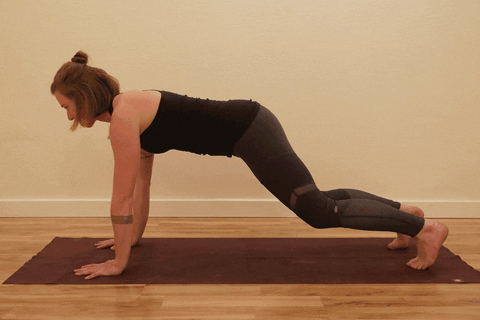 tarmstrong-wagnerskis giphyupload GIF