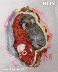 Japan Monkey GIF