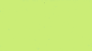 Sexy Sun GIF by Rullampo