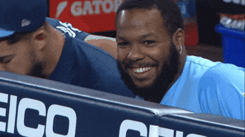 Blue Jays Baseball GIF by Toronto Blue Jays