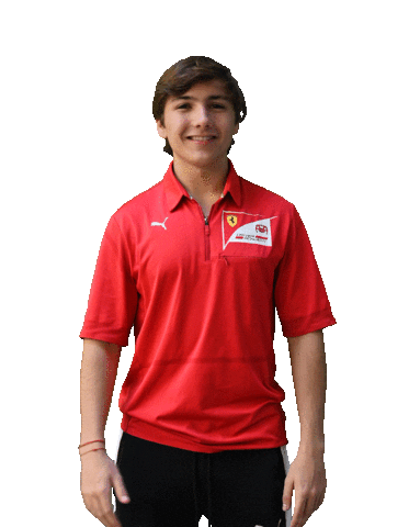 Motorsport Searching Sticker by HWA AG