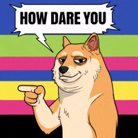 Judging Shiba Inu GIF by Doge Pound