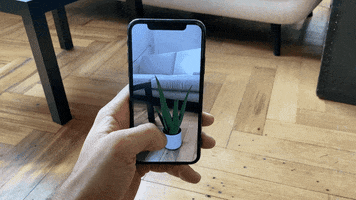 GIF by feey.pflanzen
