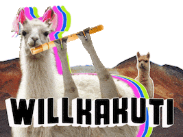June 21 Bolivia Sticker by GIPHY Studios 2021