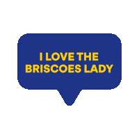 briscoesnz  Sticker