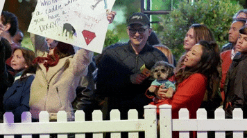 abcnetwork dog abc supporter holey moley GIF