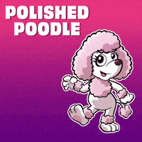 GIF by VeeFriends