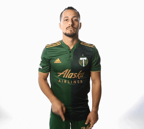 Portland Timbers Soccer GIF by Timbers