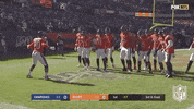 Regular Season Football GIF by NFL