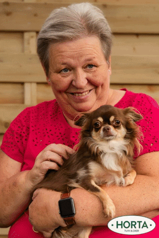 lievendendauw giphygifmaker honden wdd hortadendauw GIF