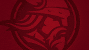 Minnesota Vikings University GIF by Bethany Lutheran College