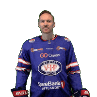 Daniel Sammen Sticker by VIF Hockey