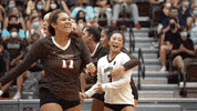 Celebration Dancing GIF by Brown Volleyball