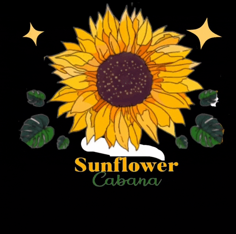 Sunflowercabana giphyattribution GIF