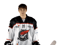 20 Sticker by Piráti Chomutov