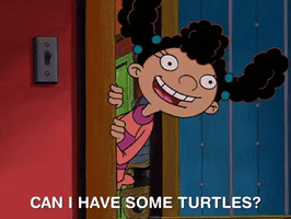 hey arnold nicksplat GIF