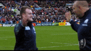 High Five Scotland Rugby GIF by Rugby World Cup
