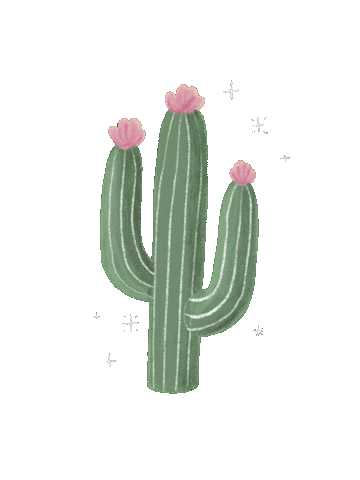 Biancalcantara giphyupload plants cactus planta Sticker