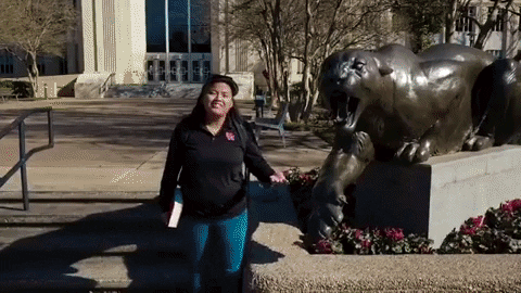 coogfans giphygifmaker university of houston go coogs houston cougars GIF