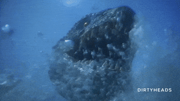 Hungry Sea Monster GIF by Better Noise Music