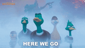 MigrationMovie family duck marriage flight GIF