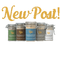 Lilo Sg Sticker by Lilo Ikan Bilis