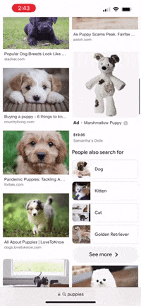 GIF by Mashable
