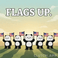 American Flag Panda GIF by Kanpai Pandas
