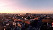 Maryland GIF by 50statesproject
