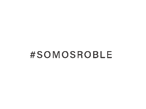 Casa Somos Sticker by RemaxRoble