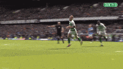 Get In Scottish Football GIF by Celtic Football Club