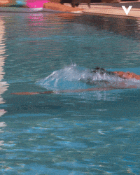 Temptation Island Love GIF by Videoland