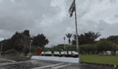 City Syria GIF