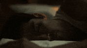 alfonso herrera sleeping GIF by The Exorcist FOX