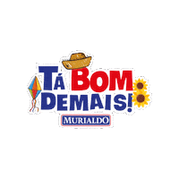 Festajunina Muri Sticker by Rede de Ensino Murialdo