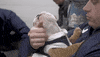 Puppy Love Dog GIF by Butler University