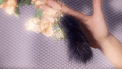video art GIF by Zita Nagy